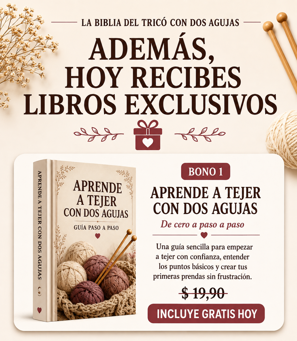 Bônus exclusivos da Bíblia do Tricô